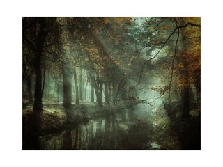 Appartamento per vacanze Bergen (Holland) Ambiente 25