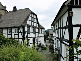 Apartamento de vacaciones Olsberg Entorno 23