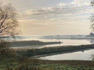 Winterlicher Blick vom Deich auf die Elbe