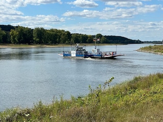 Elbfähre Westprignitz verbindet Wendland und Prignitz