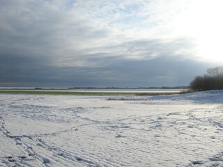 Casa per le vacanze De Cocksdorp Ambiente 17
