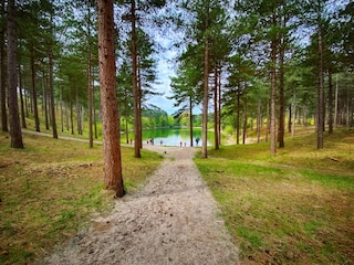 Forst Westerschouwen (Boswachterij Westerschouwen)