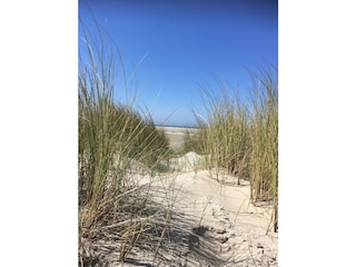 nur 10 Gehminuten vom breiten Sandstrand entfernt