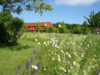 Appartamento per vacanze Dranske Ambiente 11