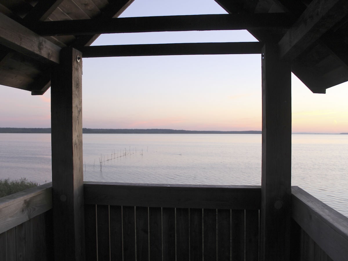 Blick vom Aussichtsturm auf den Neuwarper See