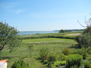 Blick von der Hochterrasse auf den Neuwarper See