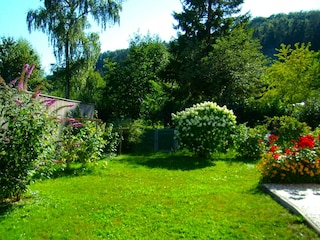 Blick in den Garten