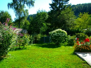 view into the garden