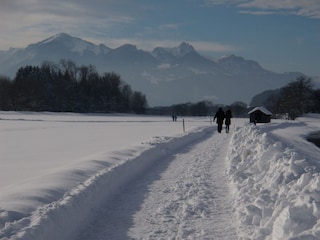 Holiday house Bergen im Chiemgau Environment 37