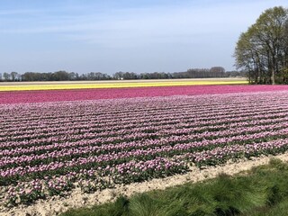 Bungalow Lemmer Ambiente 34