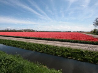 Bungalow Lemmer Environnement 32