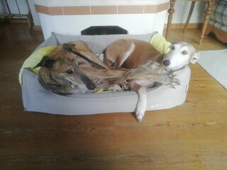 Casa per le vacanze Neuenkirchen/Niederelbe Documento 30