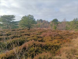 Casa de vacaciones Neuenkirchen/Niederelbe Entorno 26