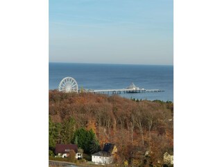 Blick vom Baumgipfelpfad auf Seebrücke Heringsdorf