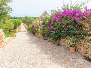 Finca Campanet Außenaufnahme 46