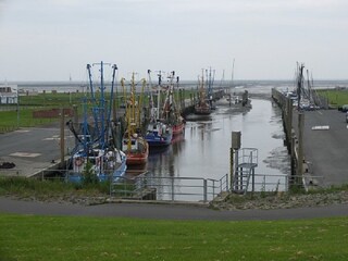 Kutterhafen