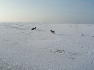 Zugefrorene, verschneite Nordsee