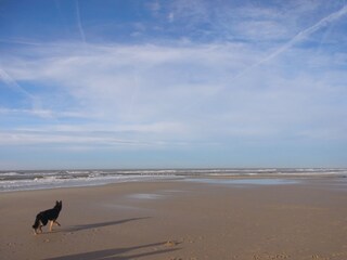 Casa per le vacanze Julianadorp Ambiente 13