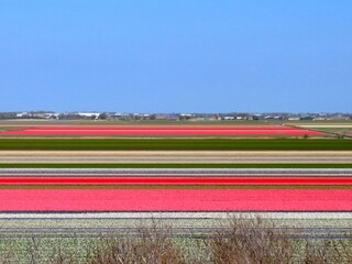 Casa per le vacanze Julianadorp Ambiente 18