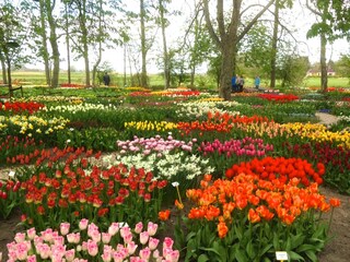 Casa per le vacanze Julianadorp Ambiente 19