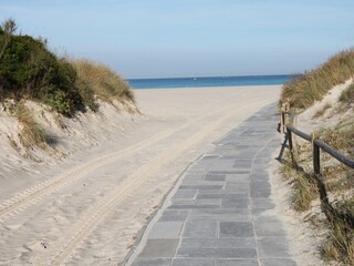 Fattoria Montescudaio Ambiente 18