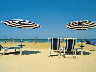 Fattoria Montescudaio Ambiente 17