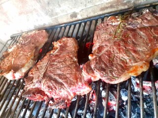 Fattoria Montescudaio Registrazione all'aperto 9