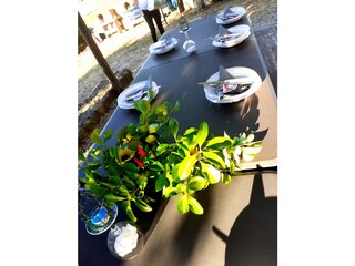 Fattoria Montescudaio Registrazione all'aperto 10