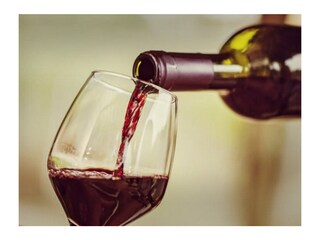 Fattoria Montescudaio Ambiente 21