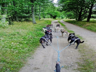 Holiday park Grzybowo Outdoor Recording 6