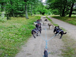 Parco vacanze Grzybowo Registrazione all'aperto 7