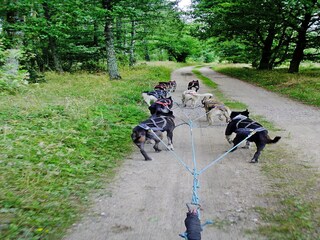 Ferienpark Grzybowo Außenaufnahme 8