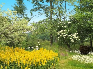 Maison de vacances Hunnebostrand Enregistrement extérieur 7