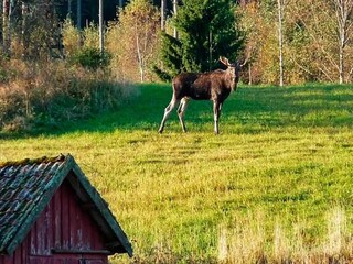 Ferienhaus Hunnebostrand  24