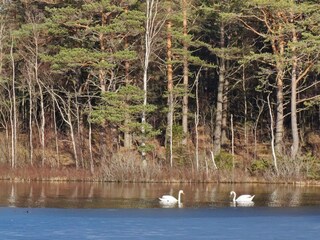 Maison de vacances Hunnebostrand  24
