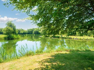 Vakantiehuis Ringkøbing  15