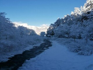 Appartamento Neustift im Stubaital Ambiente 29