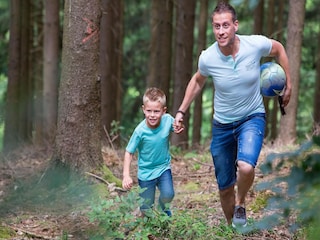 Parco vacanze Kronenburg  13