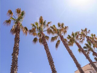 Ferienpark Cap d'Agde Umgebung 14