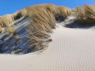 Parque de vacaciones Arnemuiden Entorno 38