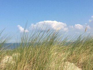 Vakantiepark Arnemuiden Omgeving 25