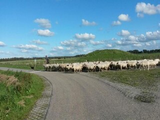 Parc de vacances Arnemuiden Environnement 21