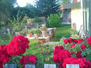Holiday apartment Eibenstock Outdoor Recording 11