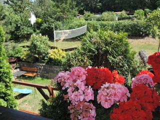 Apartment Lubin Outdoor Recording 3