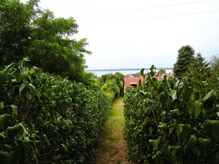 Apartment Lubin Outdoor Recording 6