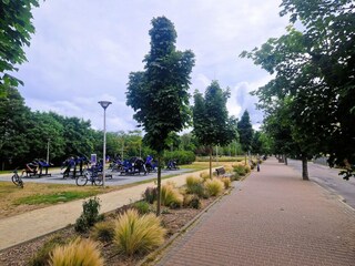 Appartement Misdroy Omgeving 18