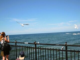 Appartement Misdroy Omgeving 20