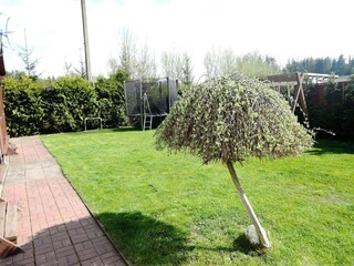 Casa per le vacanze Kołczewo Registrazione all'aperto 2