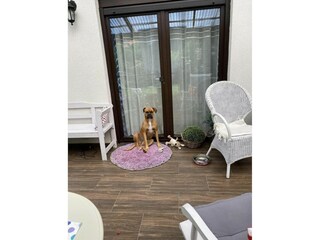 Casa per le vacanze Kołczewo Caratteristiche 53