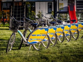 Maison de vacances Pleśna  28